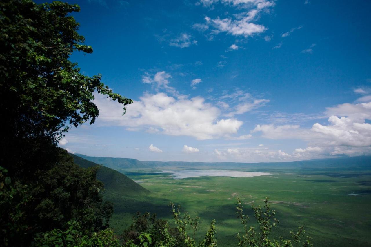 Charming Eco-Homestay Near Kilimanjaro International Airport Αρούσα Εξωτερικό φωτογραφία