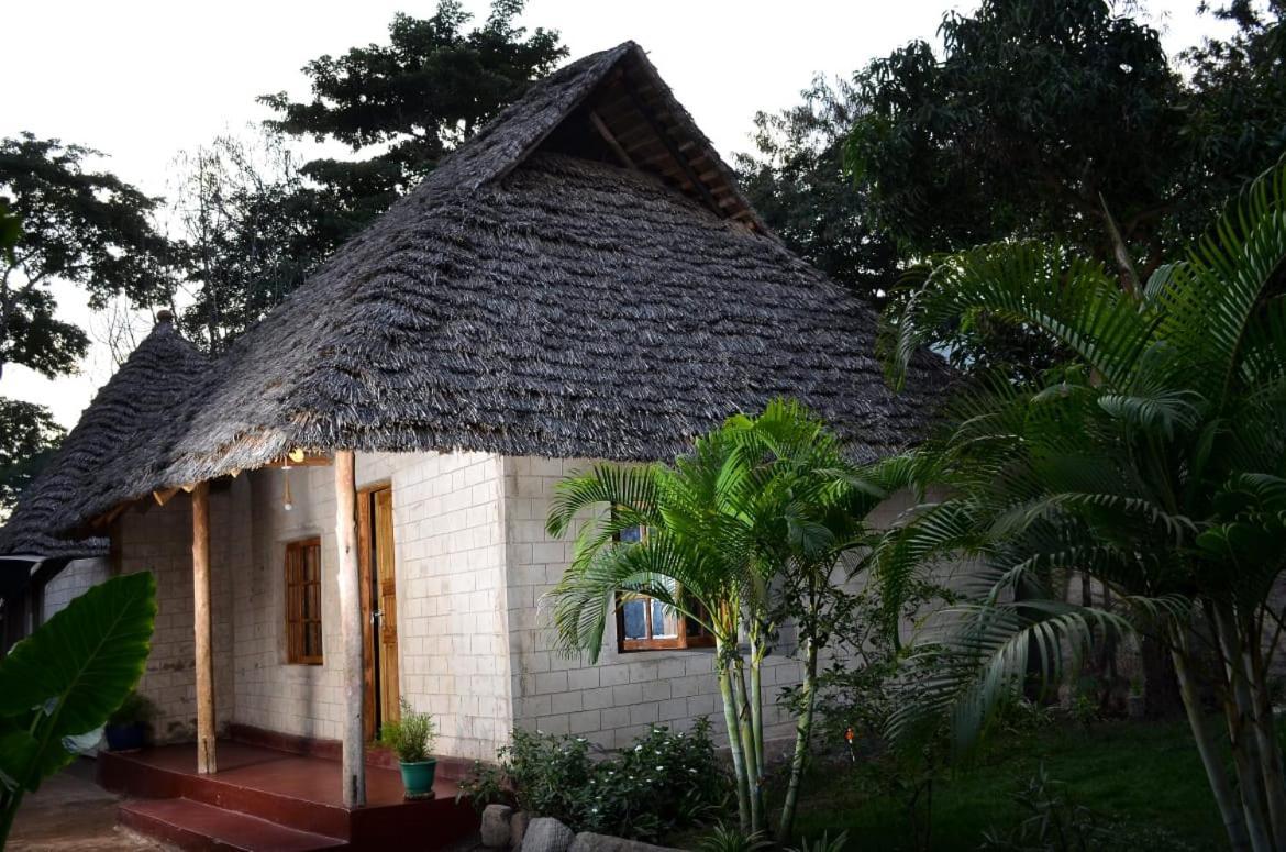 Charming Eco-Homestay Near Kilimanjaro International Airport Αρούσα Εξωτερικό φωτογραφία