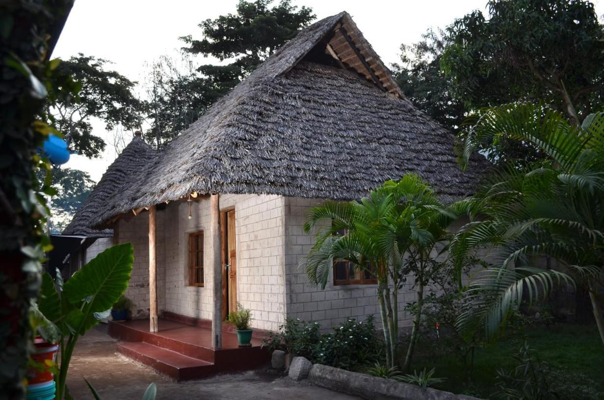 Charming Eco-Homestay Near Kilimanjaro International Airport Αρούσα Εξωτερικό φωτογραφία