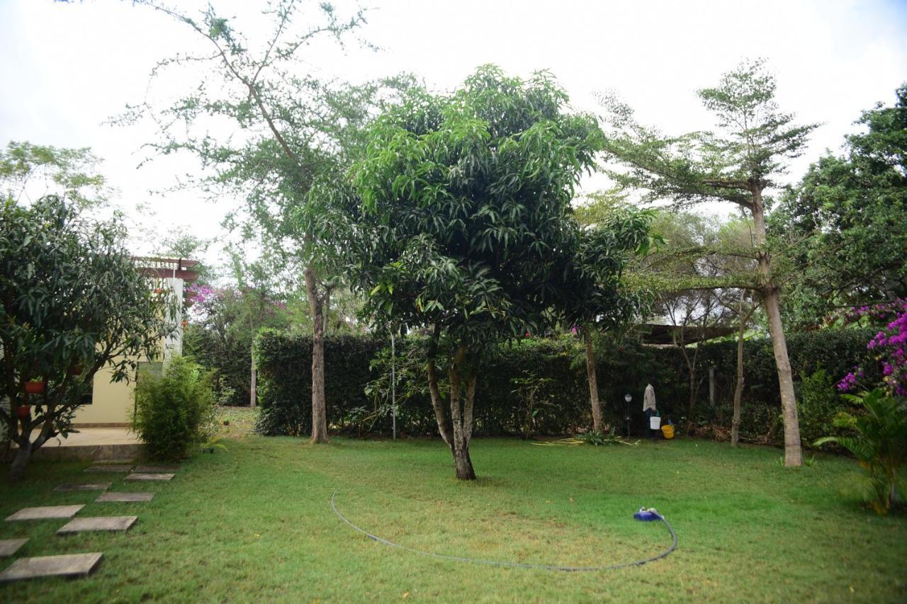 Charming Eco-Homestay Near Kilimanjaro International Airport Αρούσα Εξωτερικό φωτογραφία
